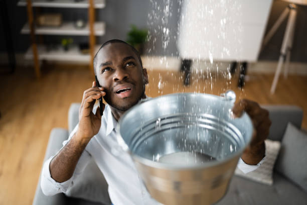 Best Water damage contractors near me  in Winnsboro, SC
