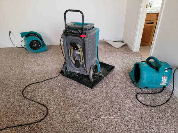 Sewage cleanup and water damage restoration in SC