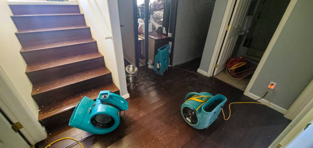 Best Mold removal after water damage  in Winnsboro, SC