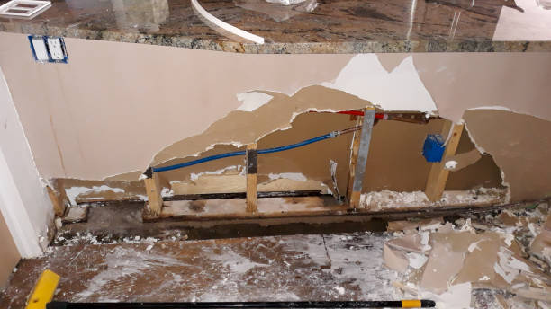 Best Professional water damage repair  in Winnsboro, SC