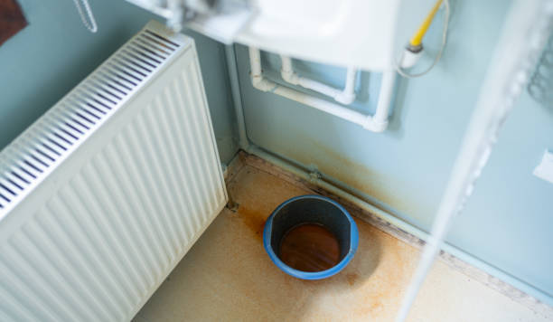 Best Water damage restoration near me  in Winnsboro, SC